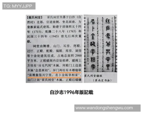 唐姓足球明星的传奇之路与辉煌成就揭秘 唐姓足球明星的传奇之路与辉煌成就揭秘
