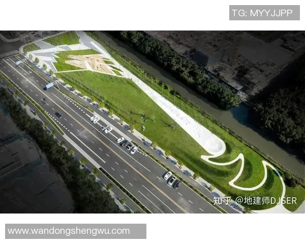 南京乒乓球队转型之路的挑战与机遇全面解析