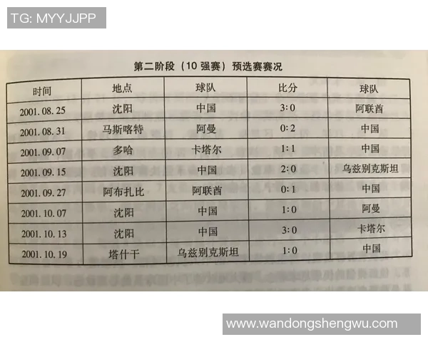 广州足球队逆袭之路揭秘:世界杯预选赛中的拼搏与荣耀