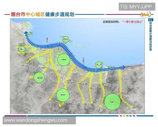 重庆网球队战术解析与对比探讨:优势与不足的全面剖析 重庆网球队战术解析与对比探讨:优势与不足的全面剖析