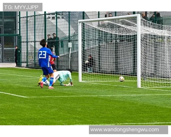 重庆足球队的崛起与挑战分析：探索其背后的力量与未来发展潜力