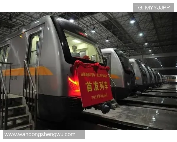 成都乒乓球队运营模式解析与发展策略探讨