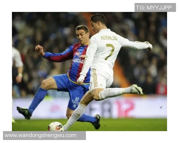 足球明星11号的魅力瞬间展现与精彩瞬间回顾