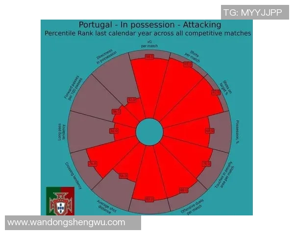 南京排球队在欧锦赛中的速度表现分析与战术探讨