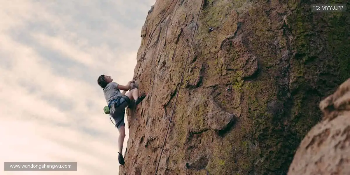 🏀 体育社区,球迷家园!分享你的激情,结交同好👥💬