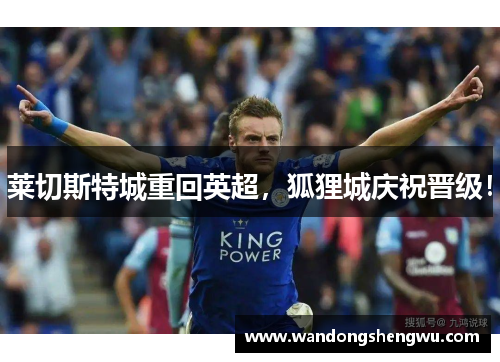 莱切斯特城重回英超，狐狸城庆祝晋级！