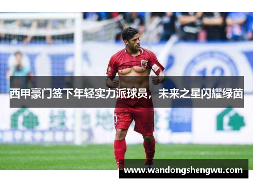 西甲豪门签下年轻实力派球员，未来之星闪耀绿茵