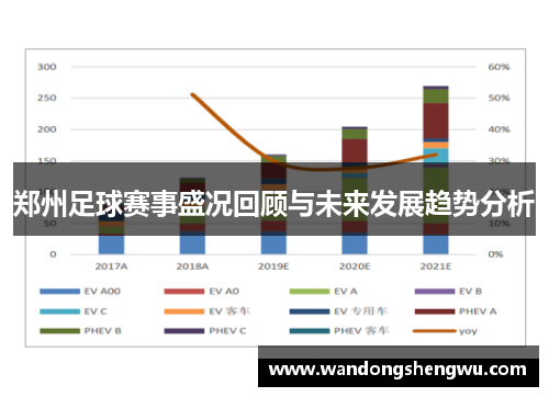 郑州足球赛事盛况回顾与未来发展趋势分析