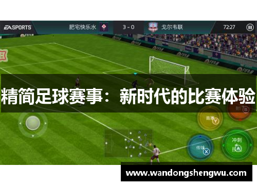 精简足球赛事：新时代的比赛体验