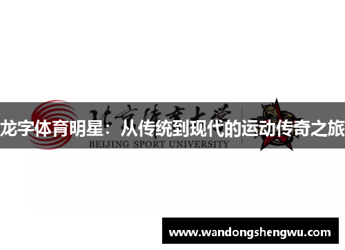 龙字体育明星：从传统到现代的运动传奇之旅