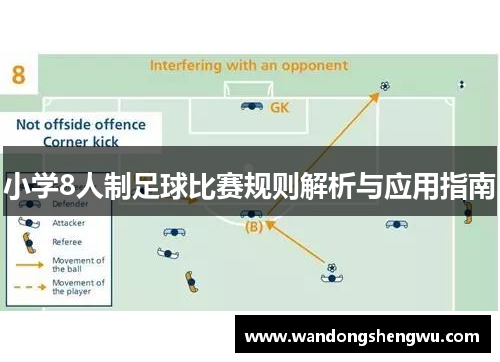 小学8人制足球比赛规则解析与应用指南