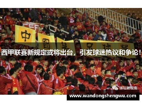 西甲联赛新规定或将出台，引发球迷热议和争论！