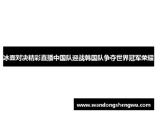 冰壶对决精彩直播中国队迎战韩国队争夺世界冠军荣耀