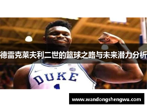 德雷克莱夫利二世的篮球之路与未来潜力分析