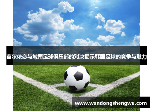 首尔依恋与城南足球俱乐部的对决揭示韩国足球的竞争与魅力