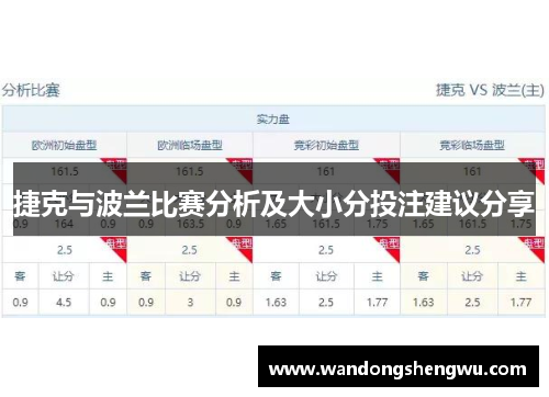 捷克与波兰比赛分析及大小分投注建议分享