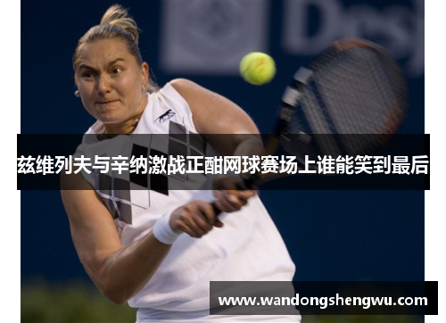兹维列夫与辛纳激战正酣网球赛场上谁能笑到最后
